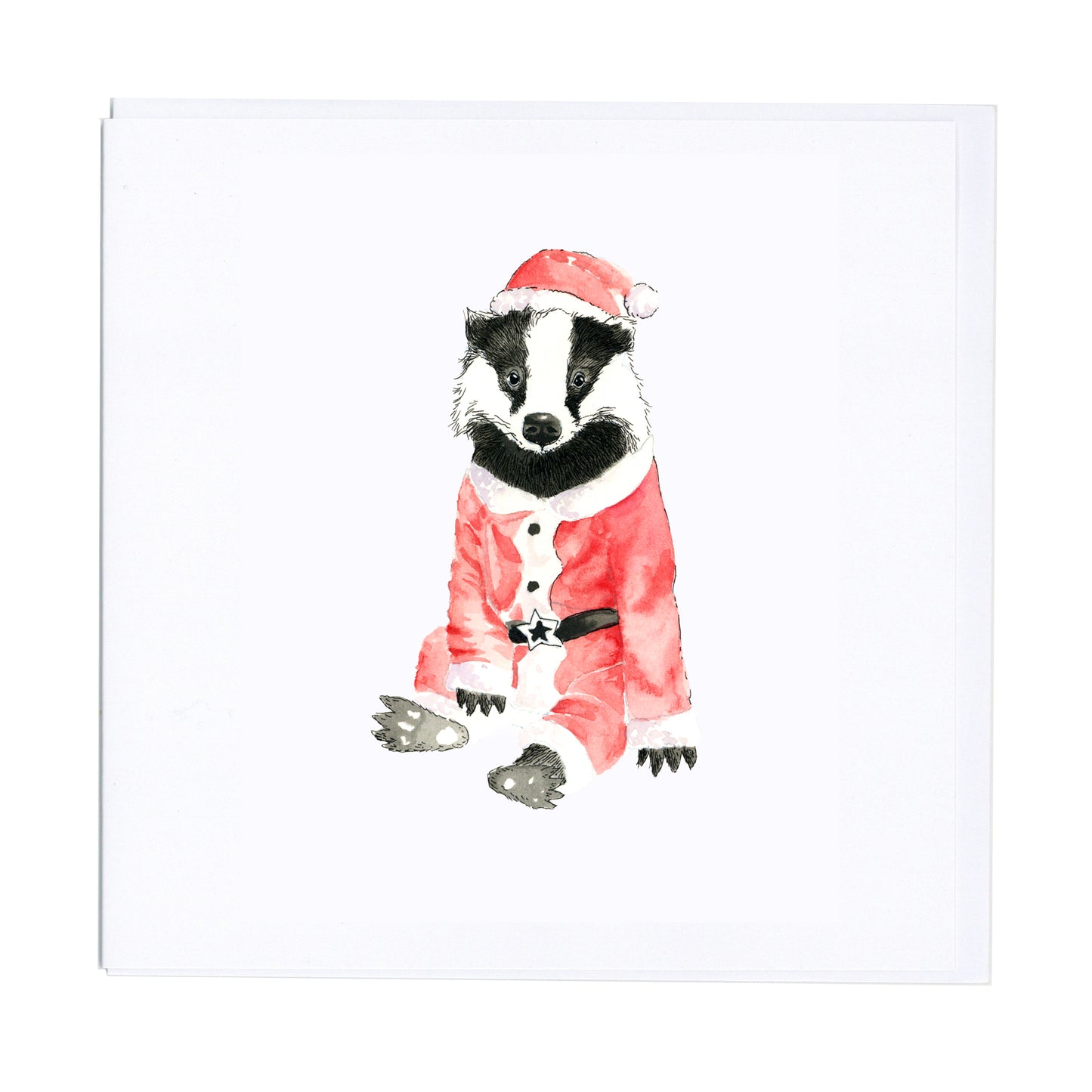 NEW Pack of 12 Christmas Cards