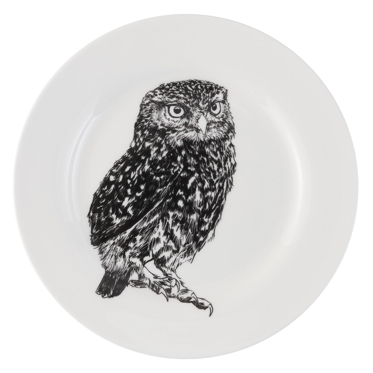 British Wildlife Collection - Owl side plate