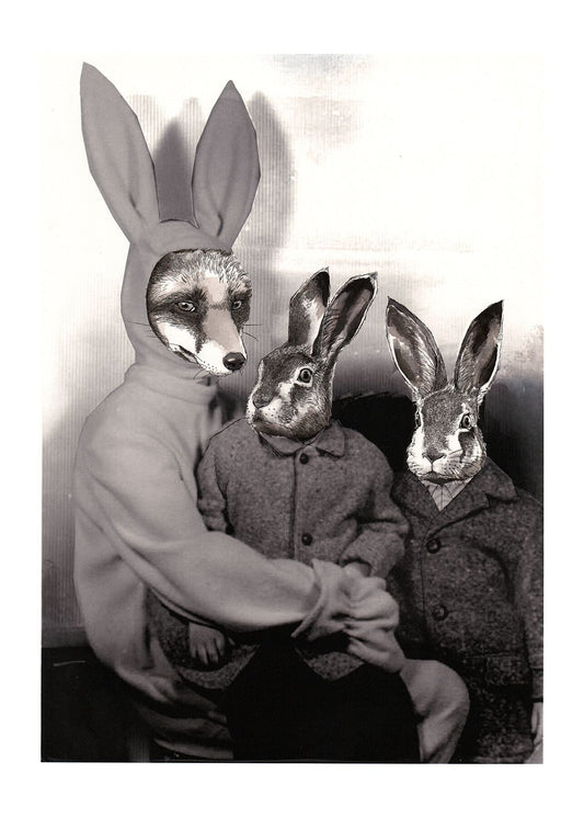 Limited Edition Rabbit Costume Fox