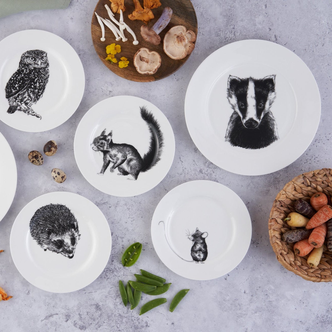 British Wildlife Collection - Badger dinner plate