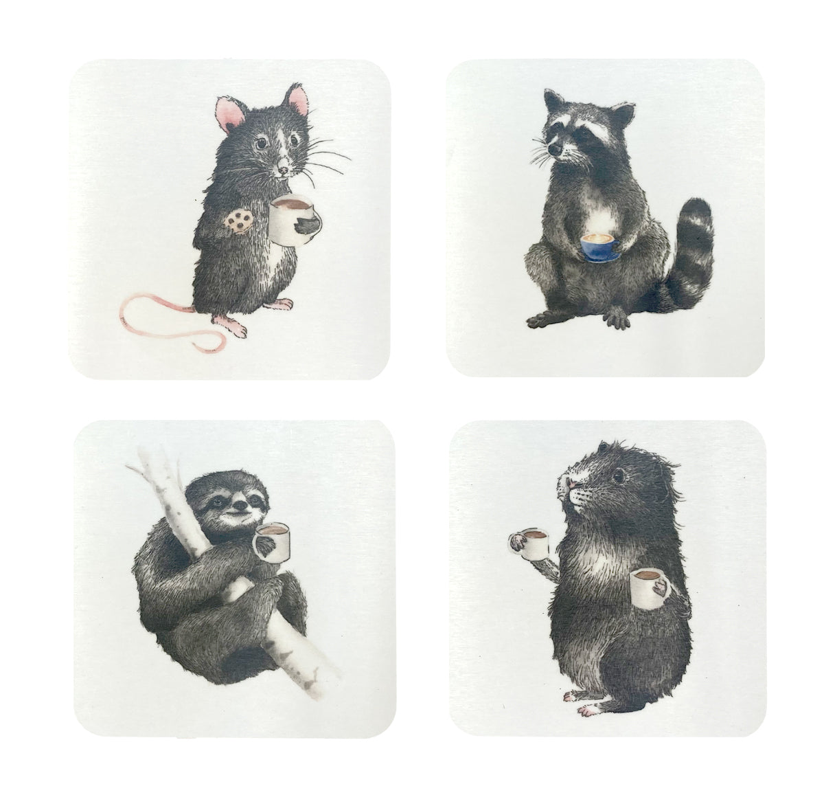 Animal Coasters - Set of 4